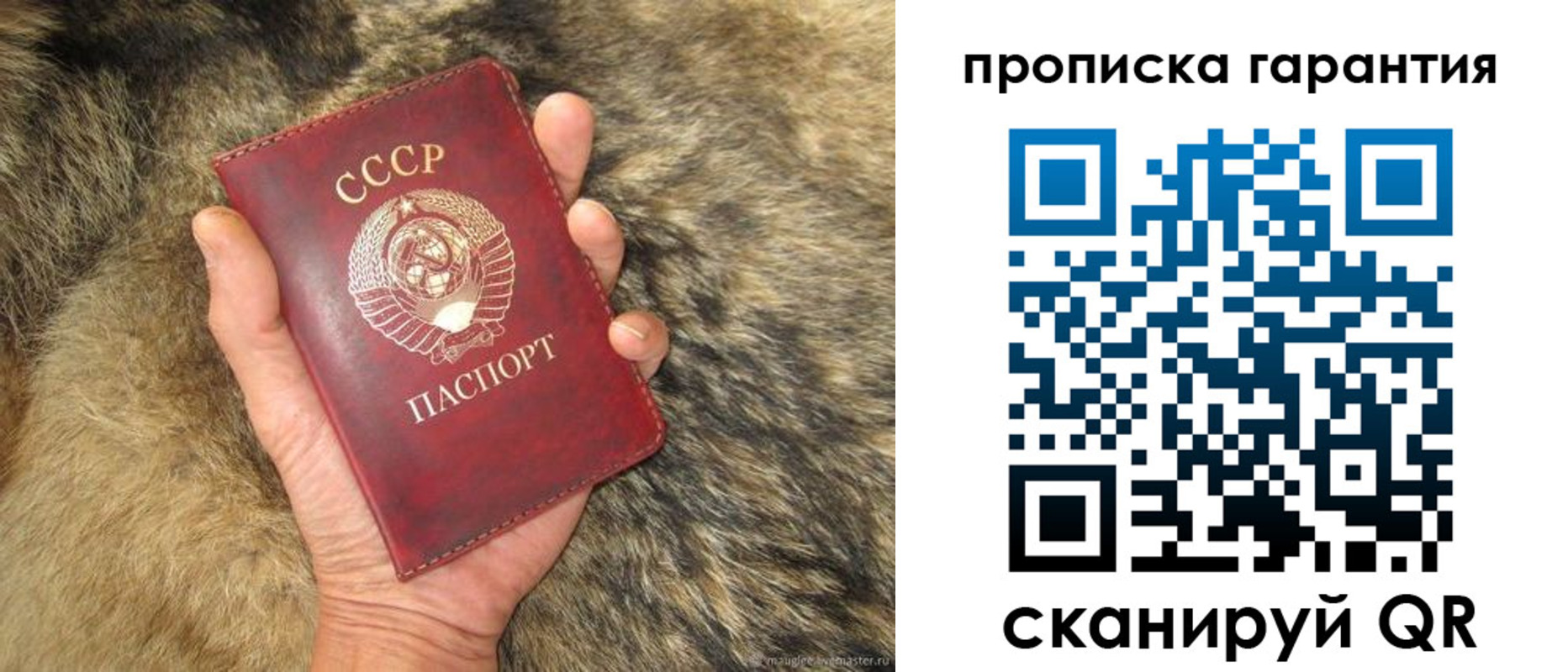 временная регистрация гарантия в Курске