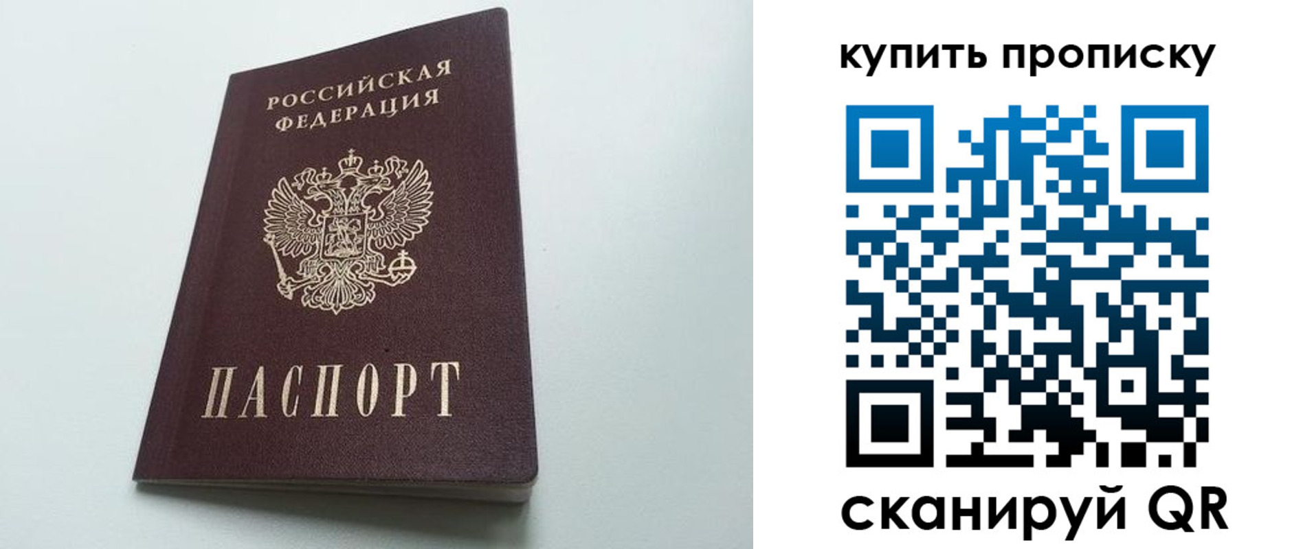 где прописаться в Курске
